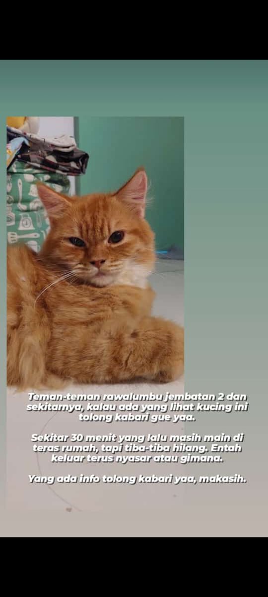 Mimin mimin bekasi, narogong, dan rawalumbu, minta tolong bantuannya untuk di-up ya, siapatau ada followersnya yang liat/tau bisa kabarin gue. Takutnya diambil orang soalnya biasa pulang sendiri ke rumah. Makasih 🙏 <a href="/txtdrbekasi/">TxtdariBekasy 🇵🇸</a> <a href="/TxtdrNarogong/">TxtDariNAROGONG</a> <a href="/txtdrrwlmb/">TXTdrRAWALUMBU</a>