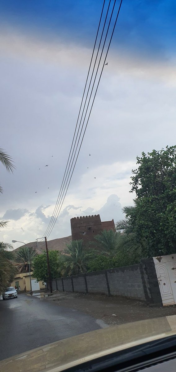 *يارب سـخر لأحـبتي في هـذا اليوم من حــــظوظ الدنــــيا مالا يخطر ببالــهم وإجـــعلها عــونًا لــهم على طــاعــــتك وأرزقهم سعادة الدنيا والأخرة حتى تبلغ ســــعادتـــــھم عــــــنان الســـــــماء*
    *اللهم آمين*

*🌹صباح الخير*🌹