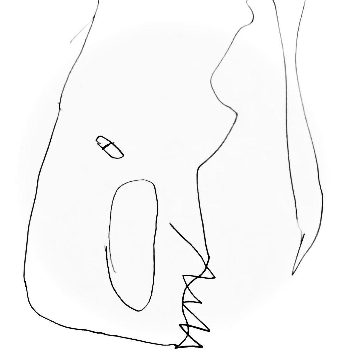 The Real Dr Jeilan tweet media