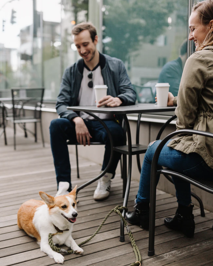 HeliumDating's tweet photo. Cats or Dogs? And is it a deal breaker if you don't agree? #catperson #dogperson https://t.co/bPgOSIYsL7