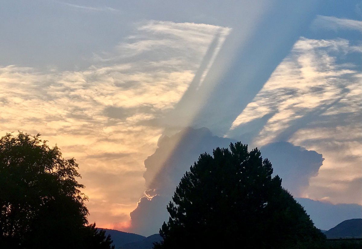 Doug Herbert tweet media