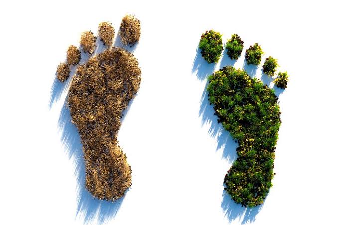 Al momento de construir cuidemos el costo ambiental
Lamentablemente nuestro medio ambiente paga todas las consecuencias que nosotros ocasionamos.
#ConstruyeConConciencia
#CuidemosElMedioAmbiente
<a href="/omaralpuche/">omar alpuche leal</a> <a href="/WendyGabriela/">gabi</a> <a href="/DasChan/">中山昌伸</a> <a href="/Guillermo/">Guillermo</a> <a href="/leosarabiia/">Leonardo Sarabia</a>