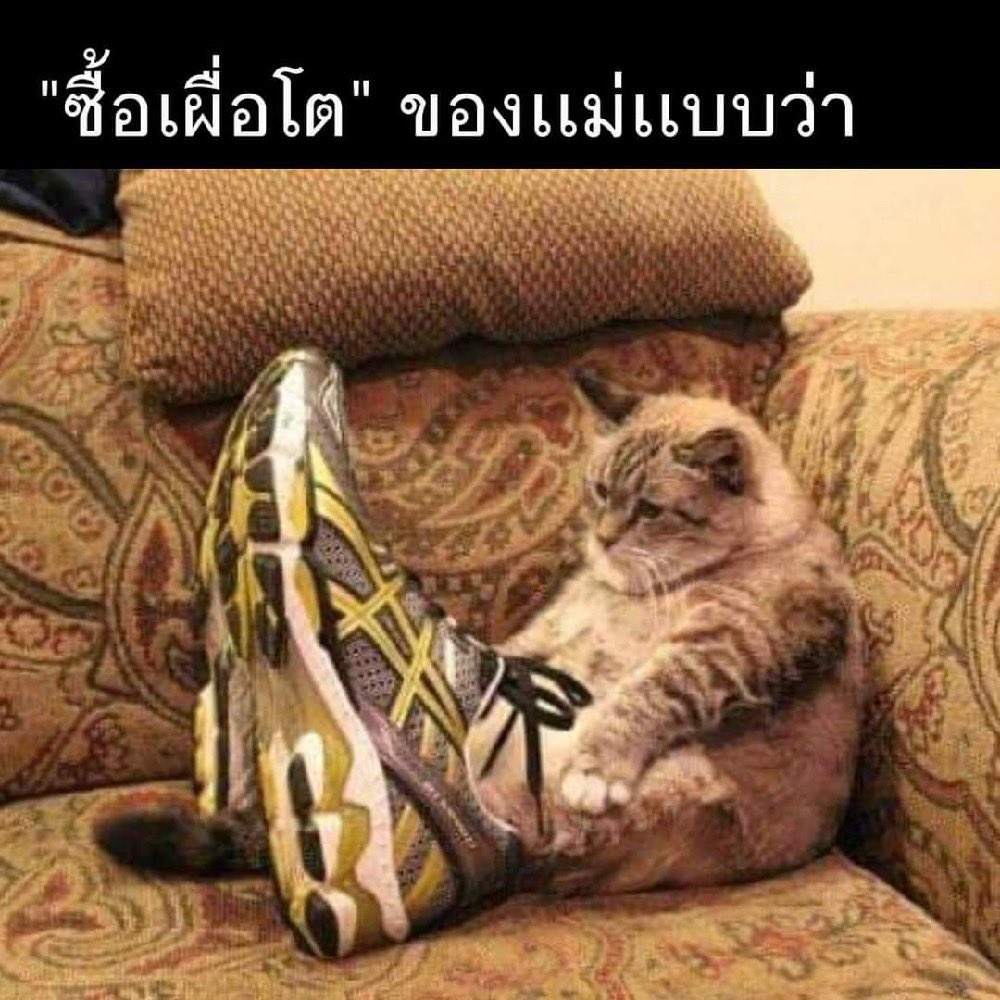 19ocx's tweet image. ตอนแม่ซื้อรองเท้าให้แล้วบอกว่า “ซื้อเผื่อโต”