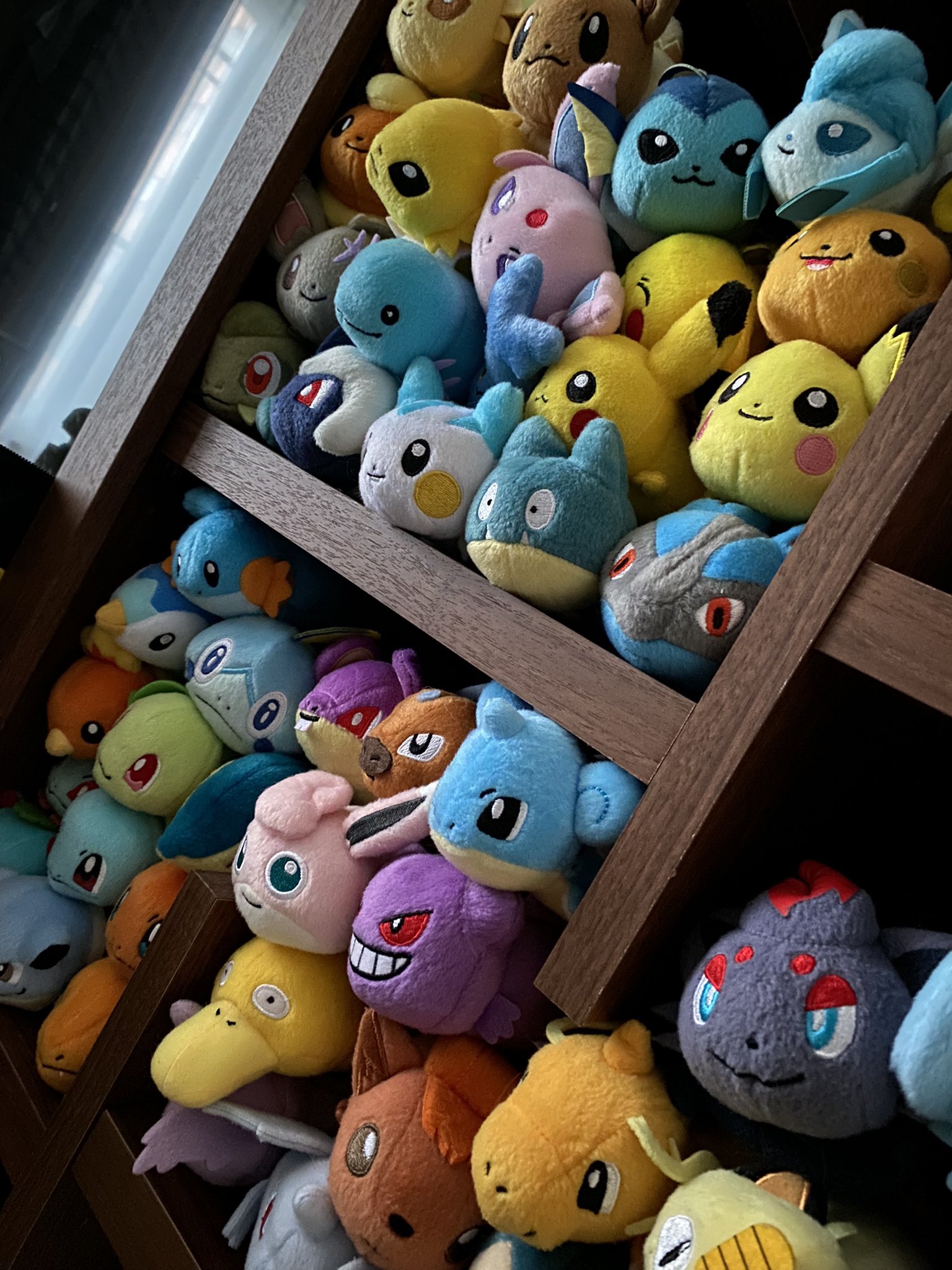 ポケモン てにのるころりんフレンズ ぬいぐるみ まとめ売り PAKA