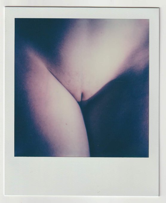 Ces deux polas sont en vente. 90 euros chaque. N'h&eacute;sitez pas &agrave; me contacter. https://t.co/cDaZHy1HbN