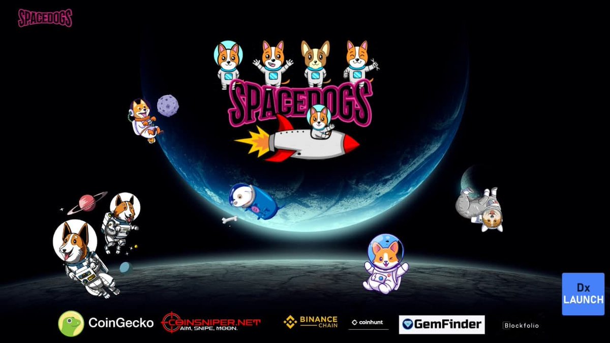 SpaceDogs tweet media