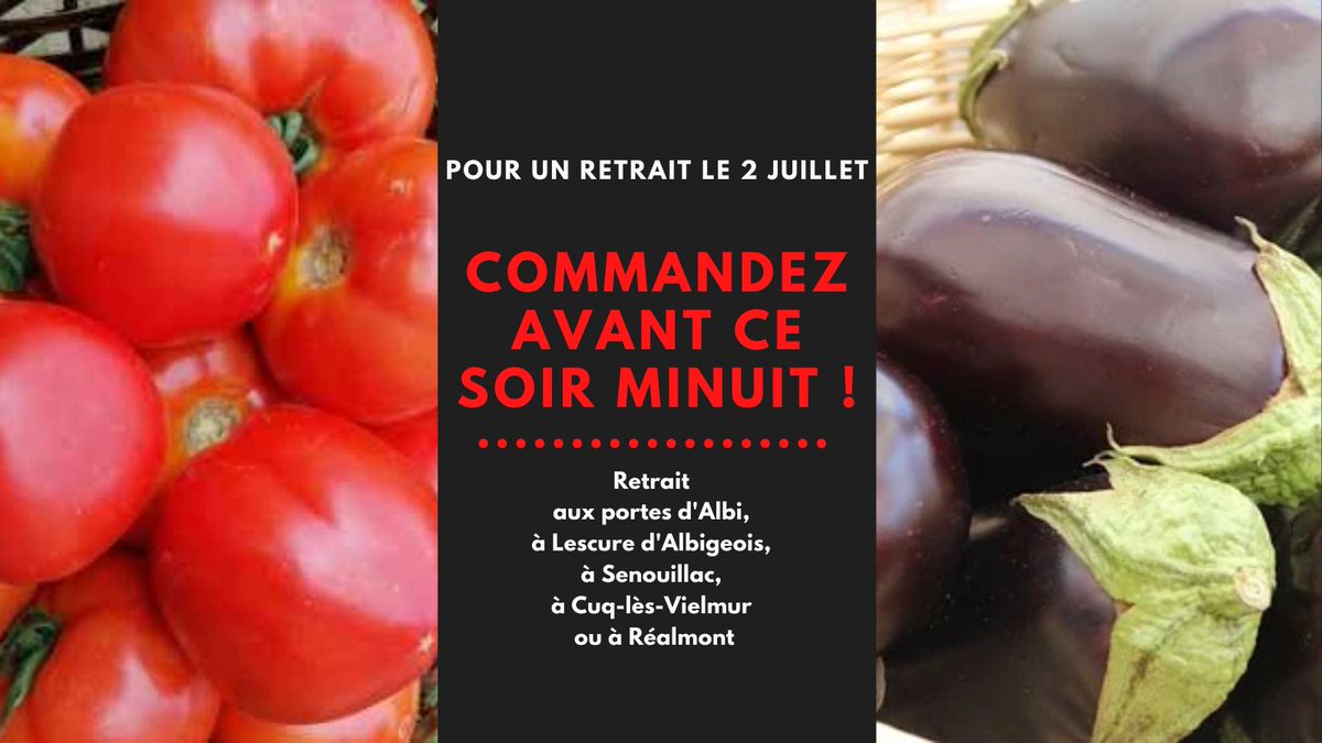 DriveFermier_81's tweet image. Vous aimez la #ratatouille ? Alors... à vous casseroles ! #courgettes, #poivrons, #tomates, #auberdines, #oignons... tout y est, y'a plus qu'à... commander avant ce soir minuit sur drivefermier-albi.fr