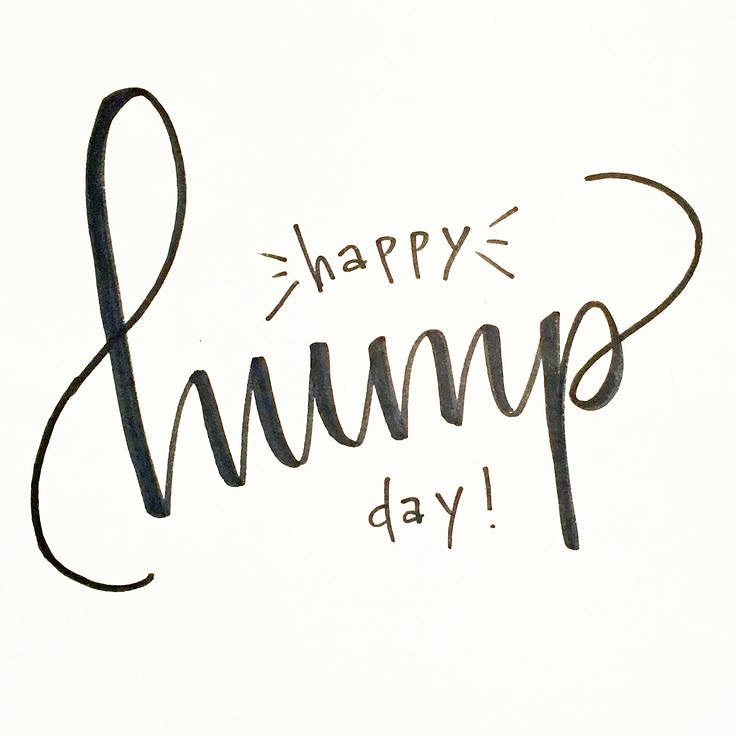 CjsuiteS's tweet photo. It's Wednesday, the middle of the week, Hump Day. Wednesday is a day I use for reflection on what I have accomplished this week and what I can do to finish the week strongly. #motivation #success  #selfemployed #virtualpa #entrepreneurship #norfolkbusiness #norwich #humpday https://t.co/5t1KaI6pWD