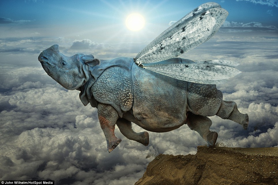 libera_libera's tweet image. #BuongiornoDonneDelMondo non accontentatevi...cercate la felicità!
&quot;La vita normale non mi interessa.
Cerco solo i momenti più intensi.
Sono alla ricerca del meraviglioso.&quot;
(AnaisNin)