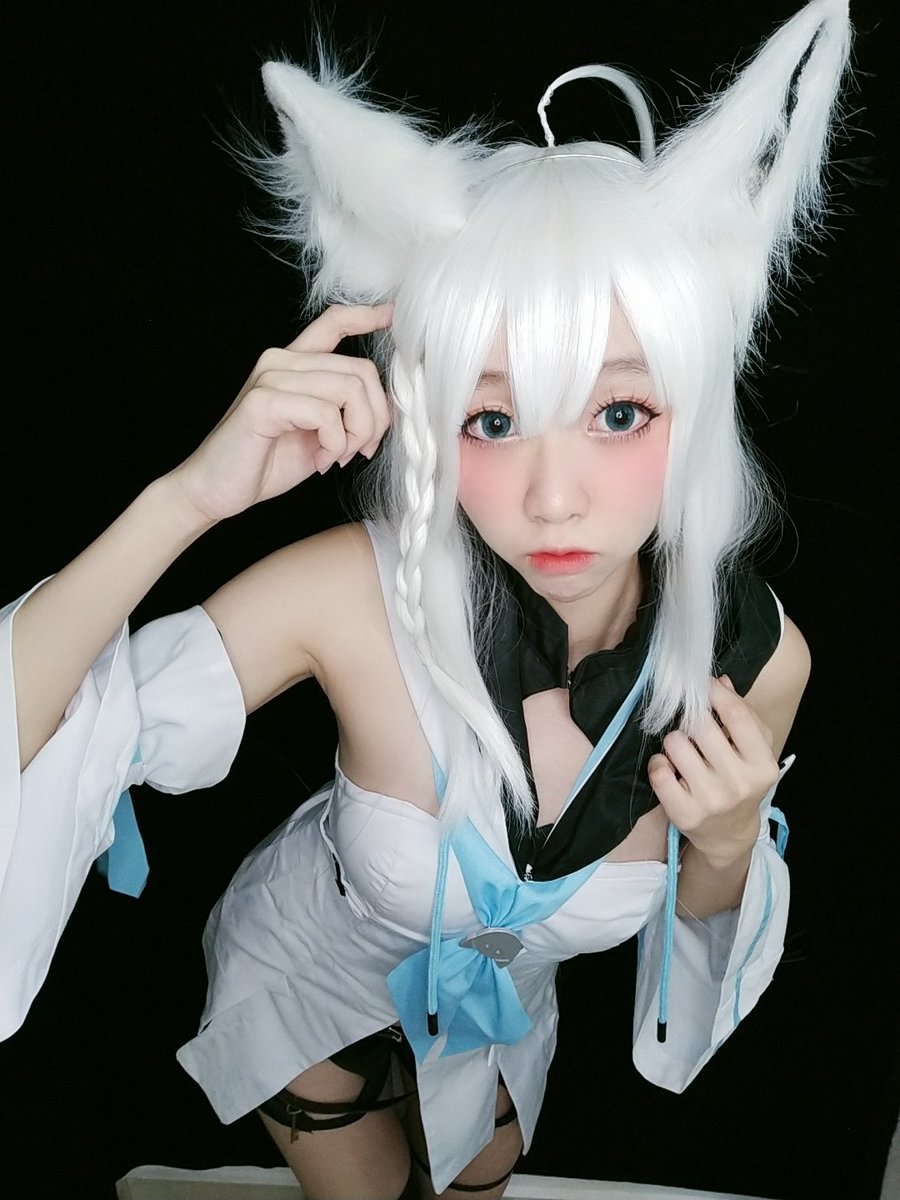 コスプレ衣装 ホロライブ 白上フブキ 猫 メイド だいしきゅーだいしゅ