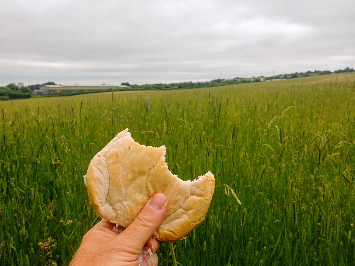 RunningSeeds's tweet image. 3) Hart Hill (I think), Gildersome

Brilliant views up here, definitely my favourite closest to the city centre.

#walkitrideit #walkshire