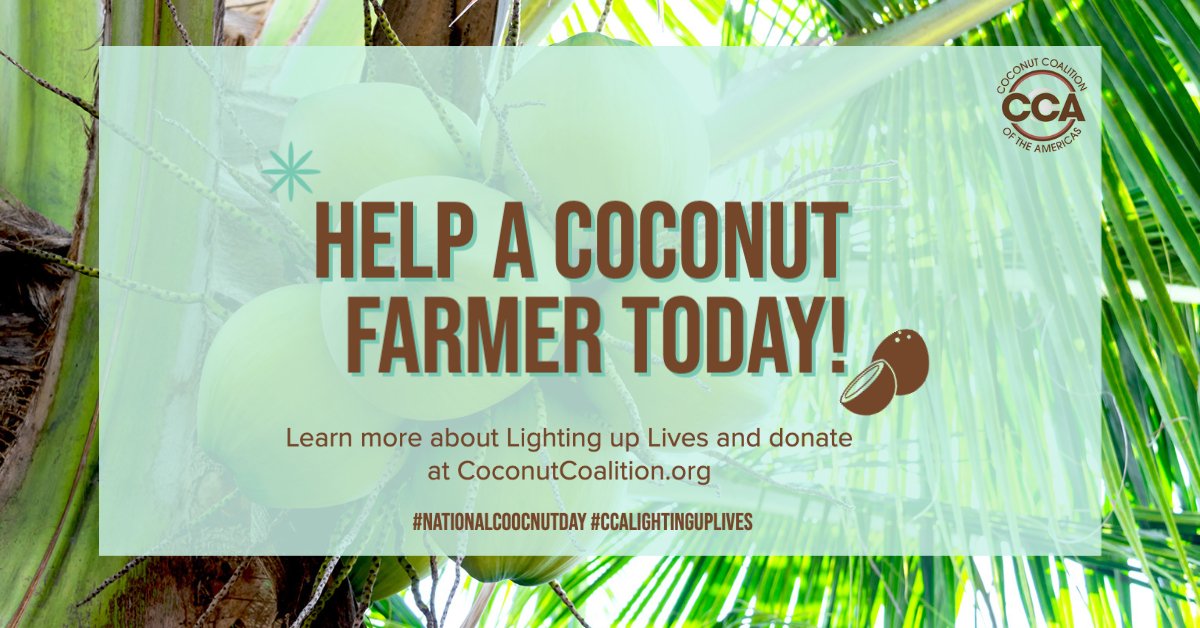 CoconutCCA's tweet photo. It is the final day to give to the #CCALightingUpLives campaign to help provide #sustainable solar lighting to 🥥 #coconutfarmers. 

Will you help light up the life of a coconut farmer today?

Learn more and donate:
➡️ https://t.co/K7RCDONjCo https://t.co/rQtOlo3sBC