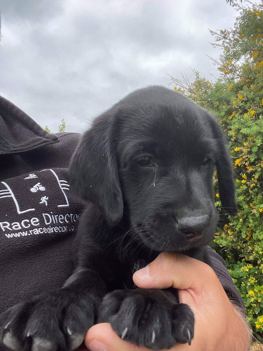 MudCrew™ tweet media