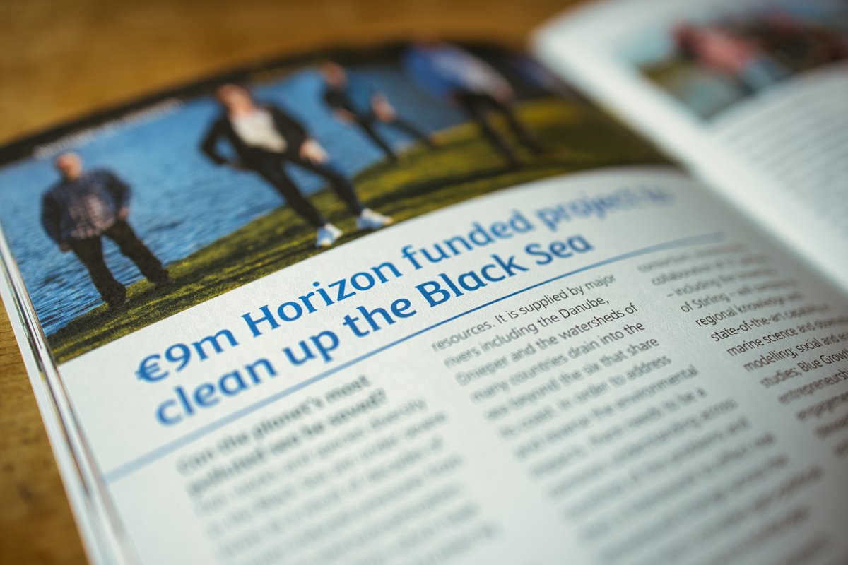 DOORS Black Sea tweet media