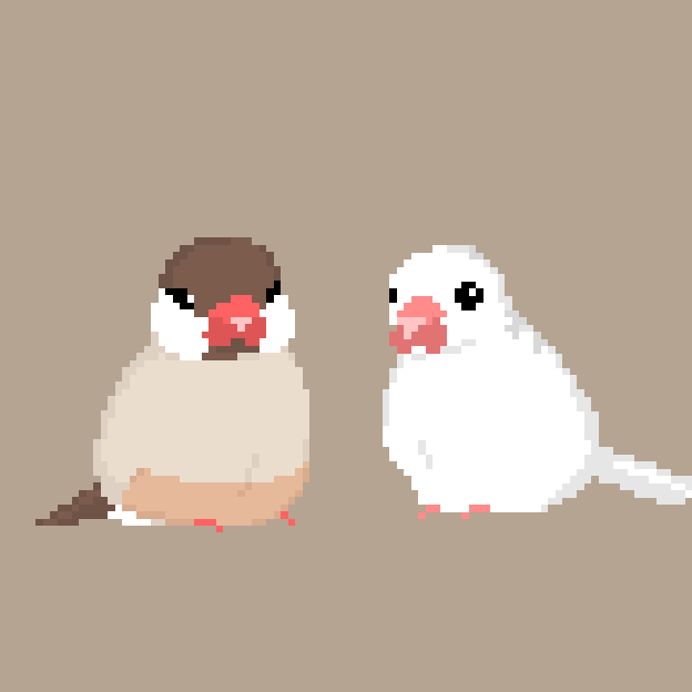 白文鳥のtwitterイラスト検索結果