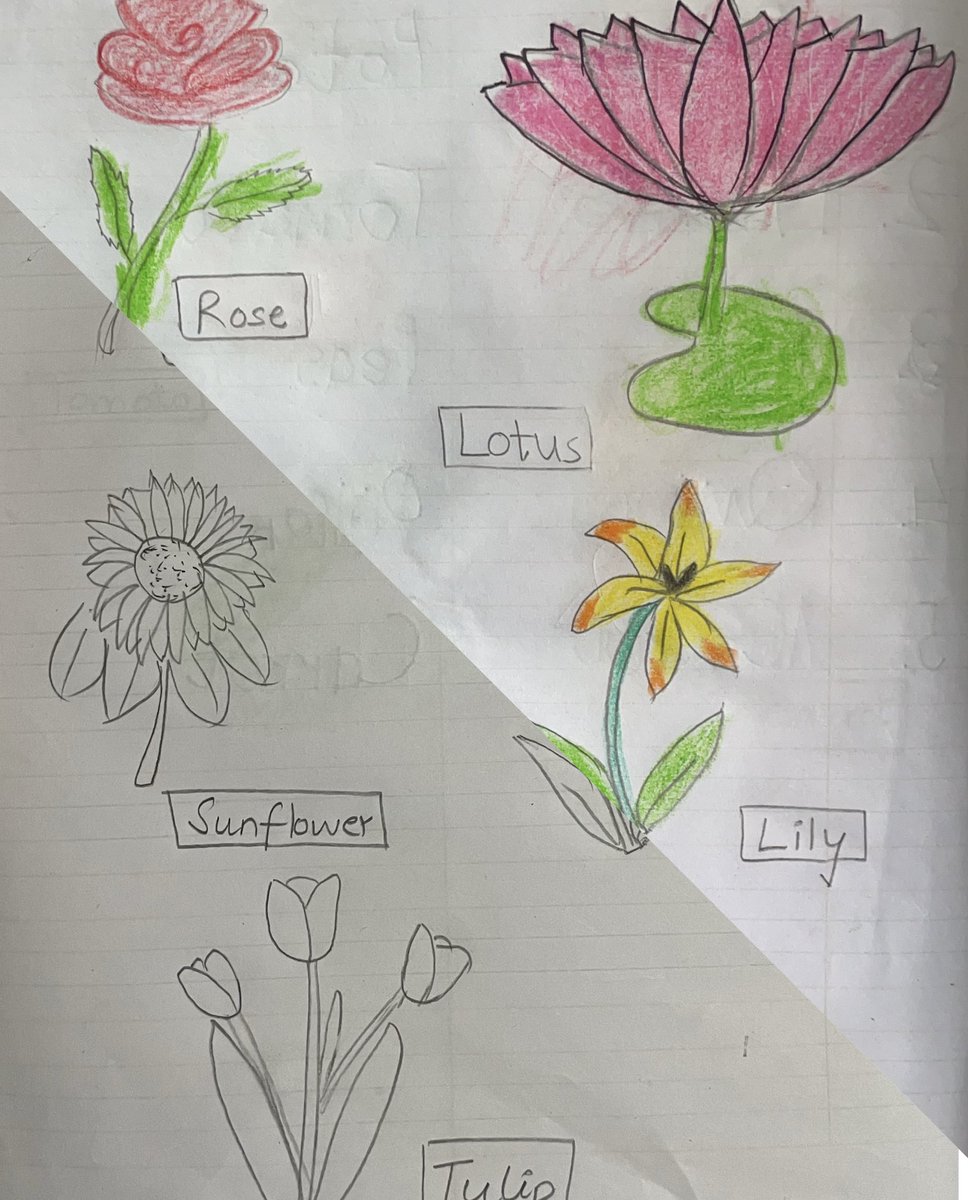 lifeofpallavi's tweet image. Many shades of life and me #MomLife #kidshomework #ArtistOnTwitter #wednesdaythought 🌸