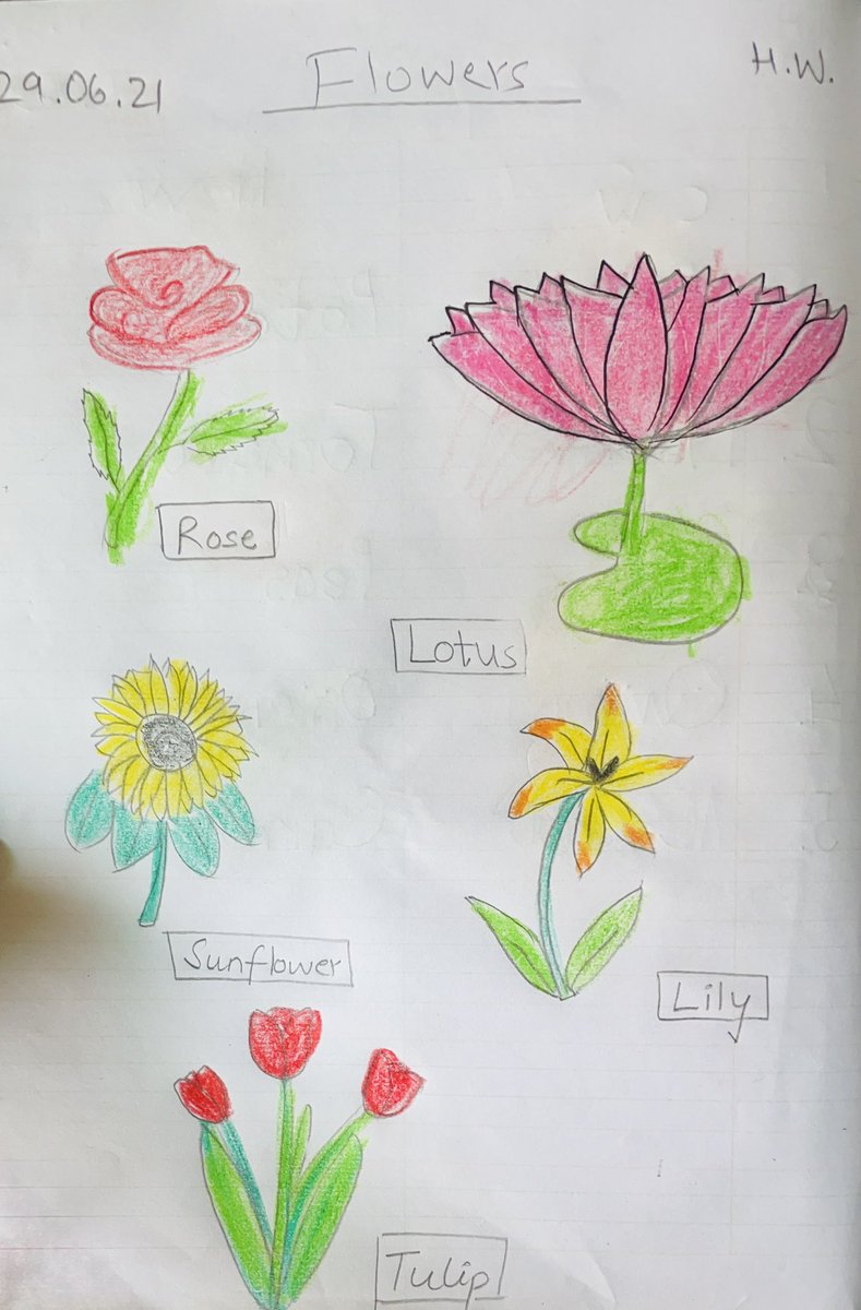 lifeofpallavi's tweet image. Many shades of life and me #MomLife #kidshomework #ArtistOnTwitter #wednesdaythought 🌸