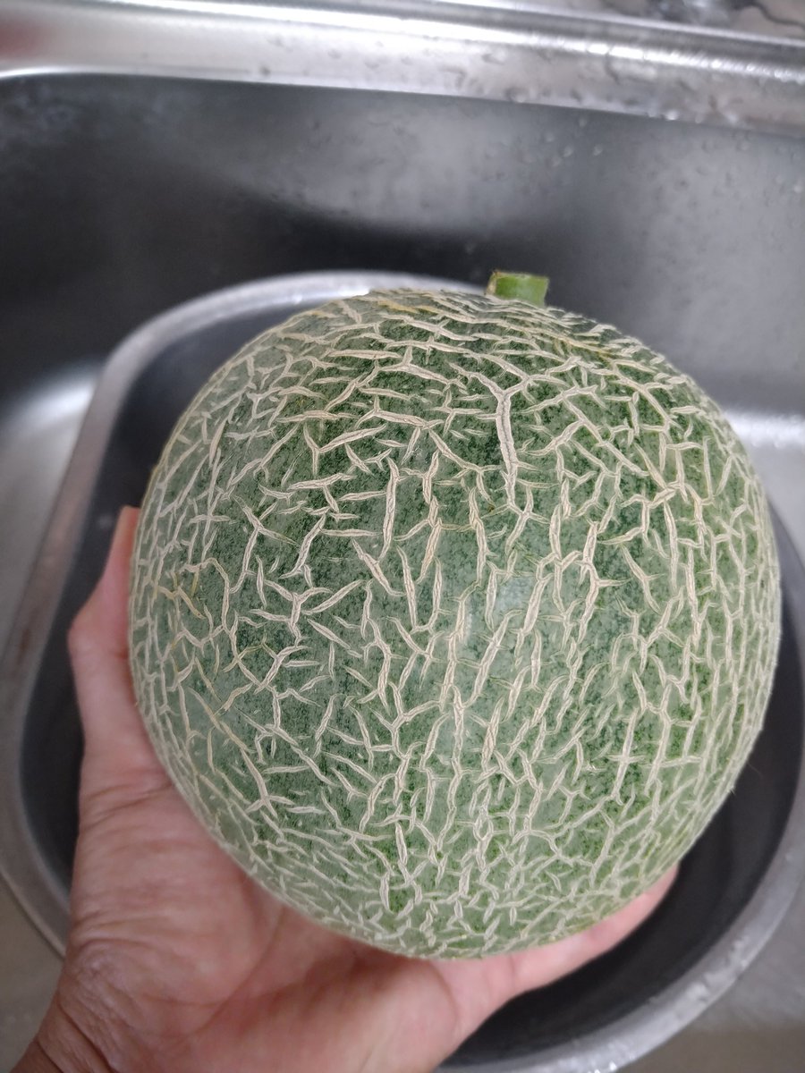 ころあま Twitter Search