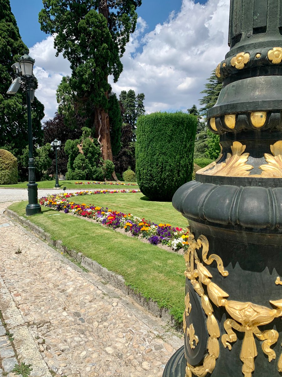 yoteguio's tweet photo. ¿Y cómo son de bonitos los jardines del Palacio Real de la Granja de San Ildefonso? 🌷 🌹 🌼 🥰 

#segovia #palacio #palace #cylesvida #sitiosconencanto #rinconesconencanto #sitiosdeespaña #españa #spain #spain🇪🇸 #spaintravel #spaintrip #monumental #monumentosdeespaña #flores https://t.co/xlbEvhiIEA