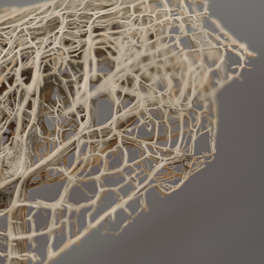 EXC_IntCDC's tweet image. The #livMatS_Pavilion is the first building demonstrator of the Clusters of Excellence #IntCDC @Uni_Stuttgart and @livMatS_UniFR @UniFreiburg. This research collaboration has grown over many years, integrating the fields of #biomimetics and architectural #CoDesign.