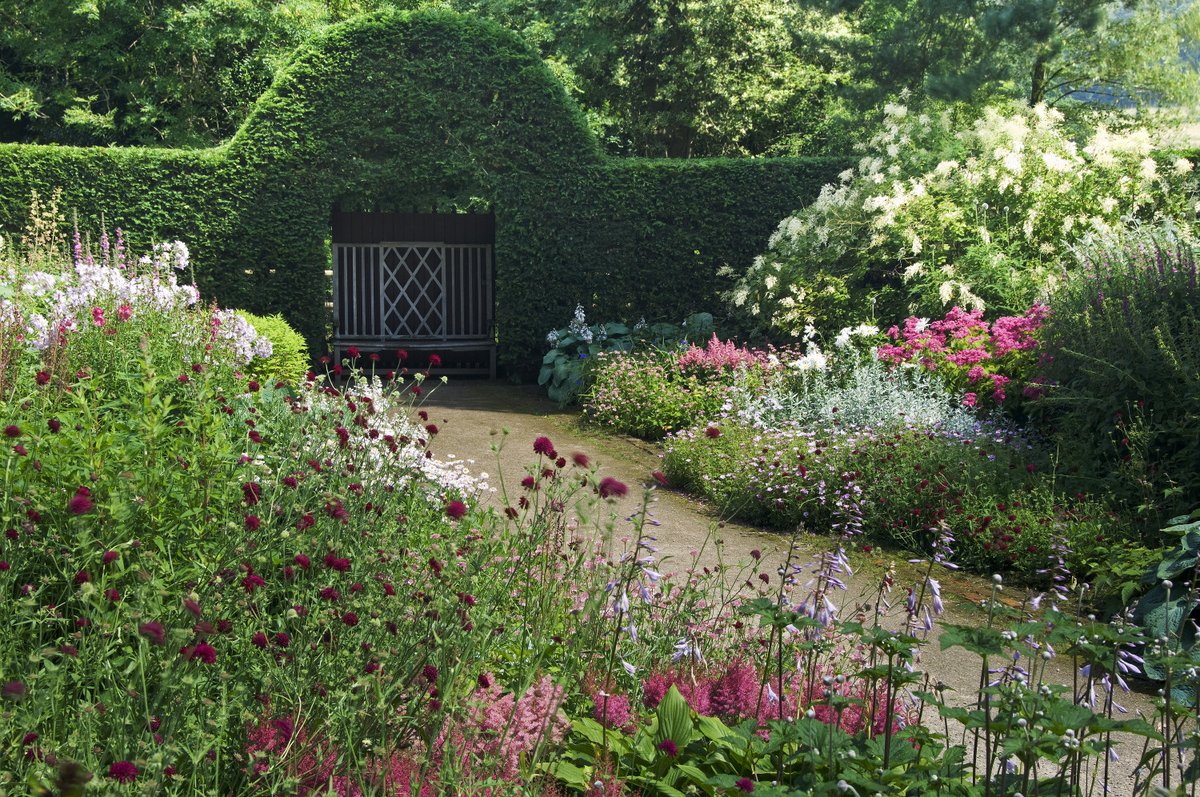 The garden in summer at Lyme park, with a pathway through the flower borders leading from a topiary entrance.