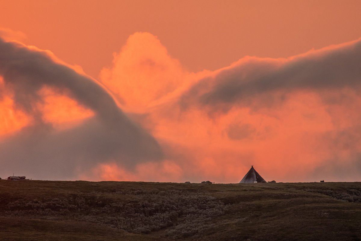 CHARTER Project (@charterarctic) on Twitter photo CHARTER field work and summer plans
Pic: from the Yamal peninsula, by <a href="/JTKerby/">Jeff Kerby</a> <a href="/InsideNatGeo/">National Geographic Society</a>
charter-arctic.org/fieldwork-roun… CHARTER field work and summer plans
Pic: from the Yamal peninsula, by <a href="/JTKerby/">Jeff Kerby</a> <a href="/InsideNatGeo/">National Geographic Society</a>
charter-arctic.org/fieldwork-roun…