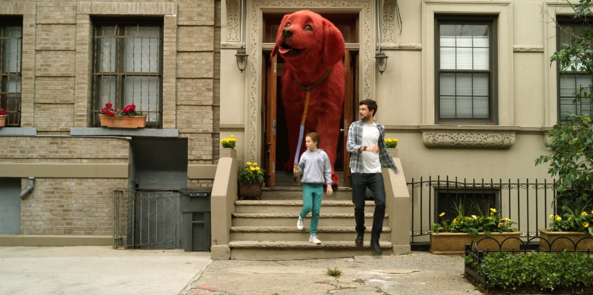 Is this how massive the doge you hodl is?