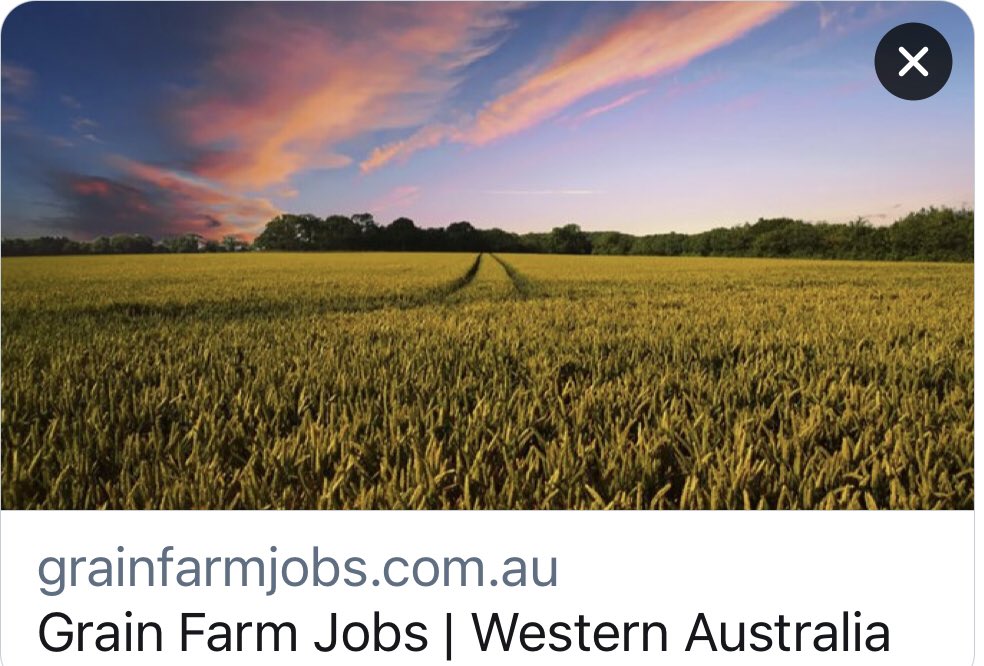 Mistadamage's tweet photo. Just had a great meeting with @CurtinUni about a #studentarmy for the grain harvest this year. ¾ of students have their final assesment by 22 October- perfect timing!
Make sure you insert #grainfarmjob in your online job ads to be found on the website!!
https://t.co/QiltRh1jKO https://t.co/No7yUKfOXp