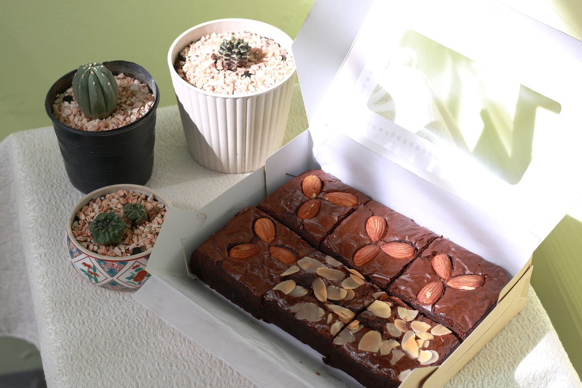 PTatsa's tweet photo. Homemade Brownie บราวนี่เนื้อฟัดจ์
6 ชิ้น 200 บาทค่ะ 
แบบ 1 ปอนด์ 179 บาท
แบบ 2 ปอนด์ 350 บาท
ส่ง ems ได้ทั่วไทยนะคะ 
สามารถโรยหน้า เม็ดมะม่วงหิมพานต์, อัลมอนด์สไลด์, อัลมอนด์ และช็อคชิฟ ได้ฟรีนะคะ 
#Shoppingกับอากาเซ่
#บราวนี่ #บราวนี่เนื้อหนึบ 
#ของดีบอกต่อ https://t.co/GbbfcO2Gnn