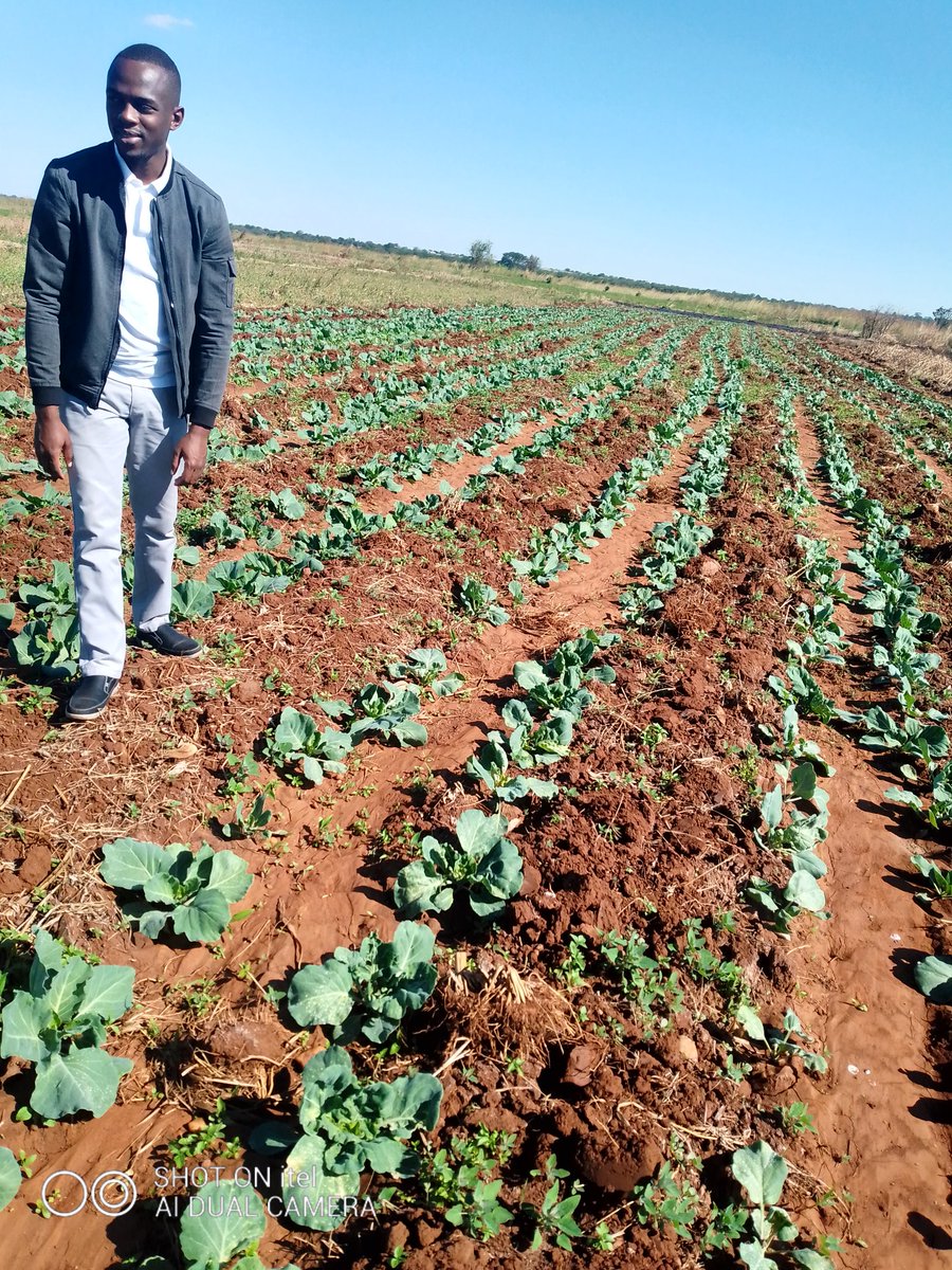 abide_ntini's tweet photo. How it  Proliferated      How its
Build up 3/4                  Going 4/4 https://t.co/KO2HVh09ui