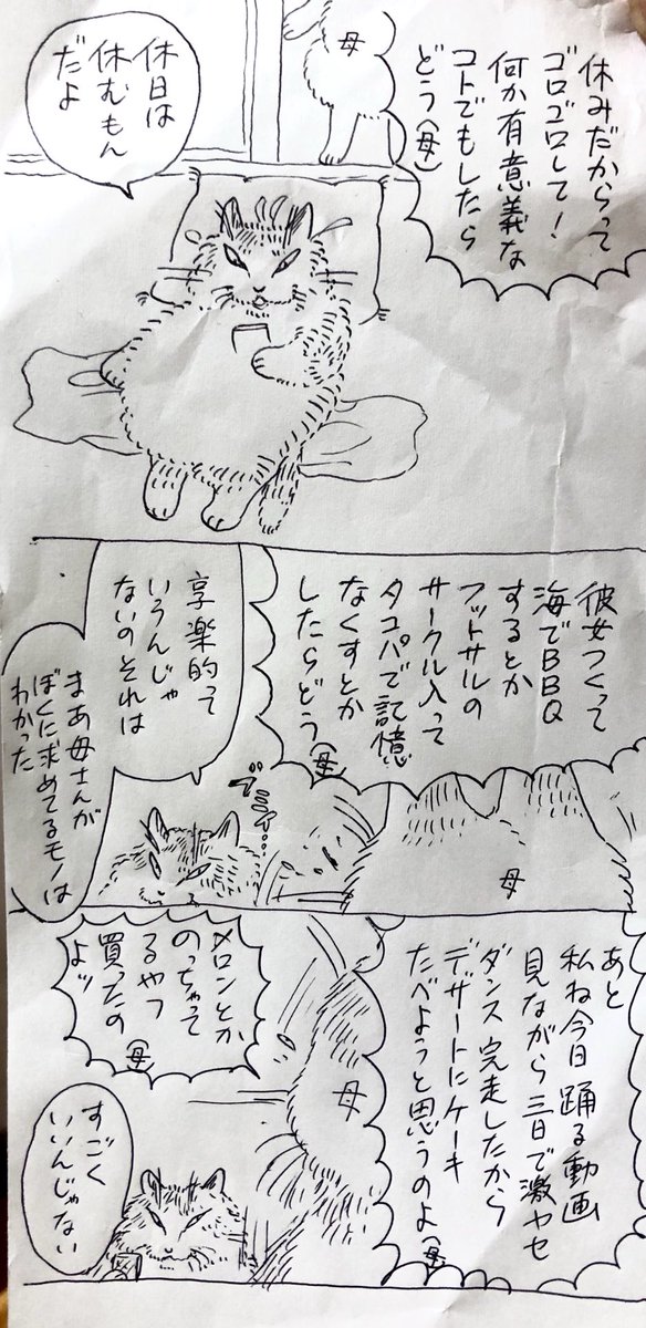 母親の話に相槌をうちながら「女性は1日に一万語喋らないとストレスが溜まるらしい」という真偽不明情報を噛み締めてるわかおじ猫 