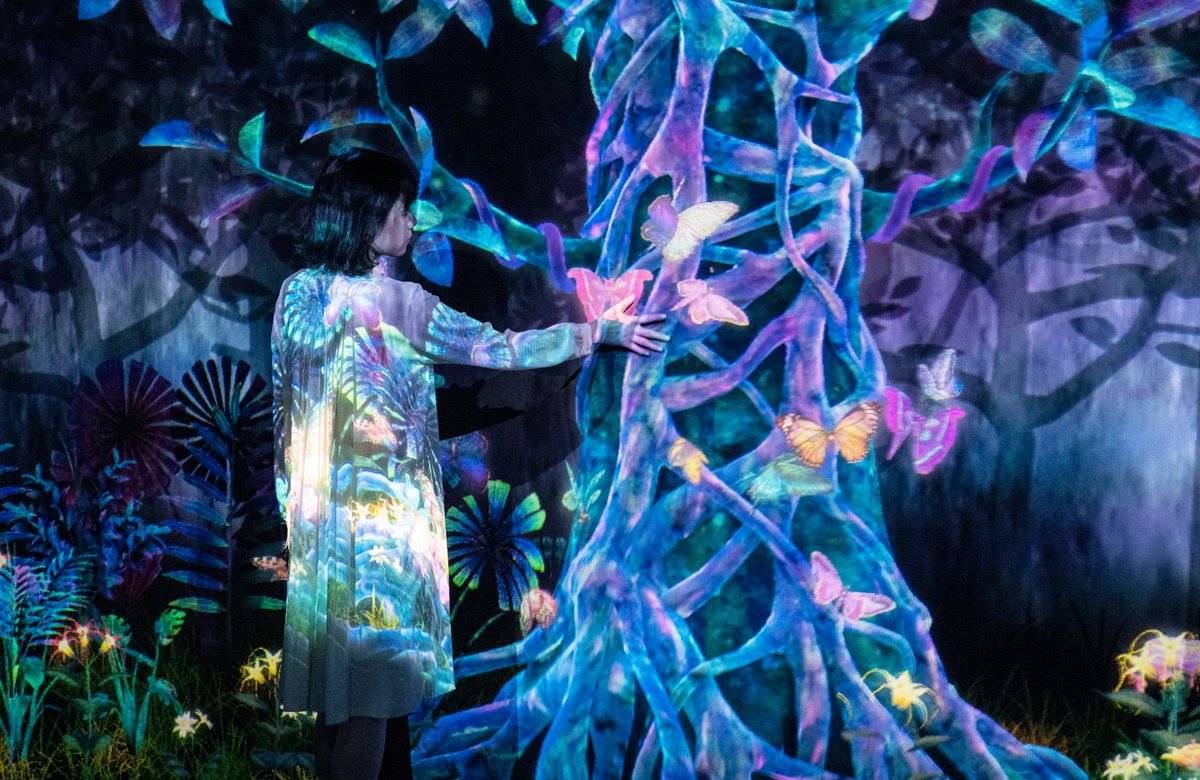 Opening Today -- “Catching and Collecting Flutter of Butterflies Beyond Borders”
Explore with your smartphone app, capture butterflies, study them, and create your own collection book. On view at GINZA 456 in Tokyo.
teamlab.art/e/collecting_b…