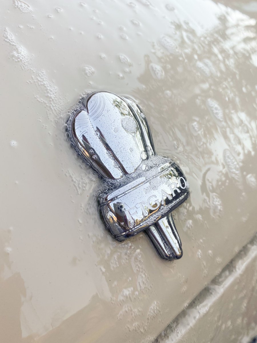 Freddie & Bim tweet media