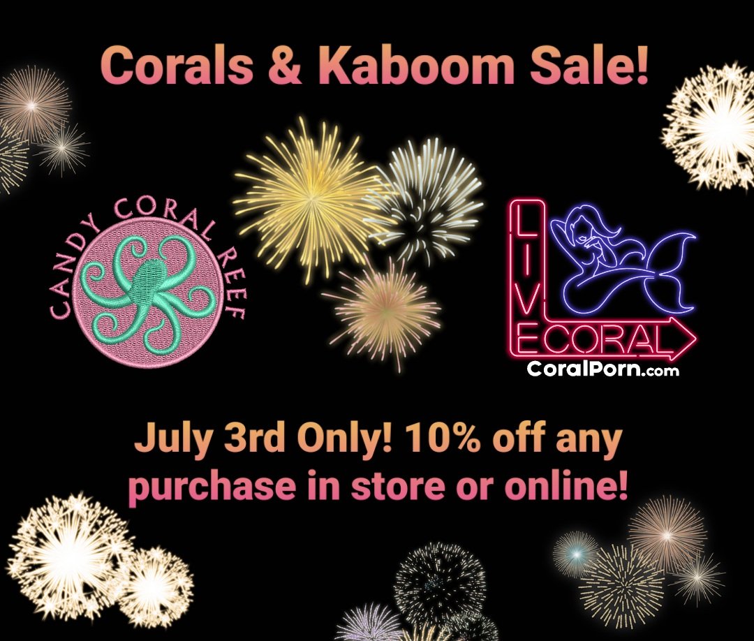 ReefLlc's tweet image. 10% off Online July 3rd, or come see us at 5032 Lunn Rd in Lakeland, Florida. The store will be closed on Sunday the 4th. Have a safe holiday!