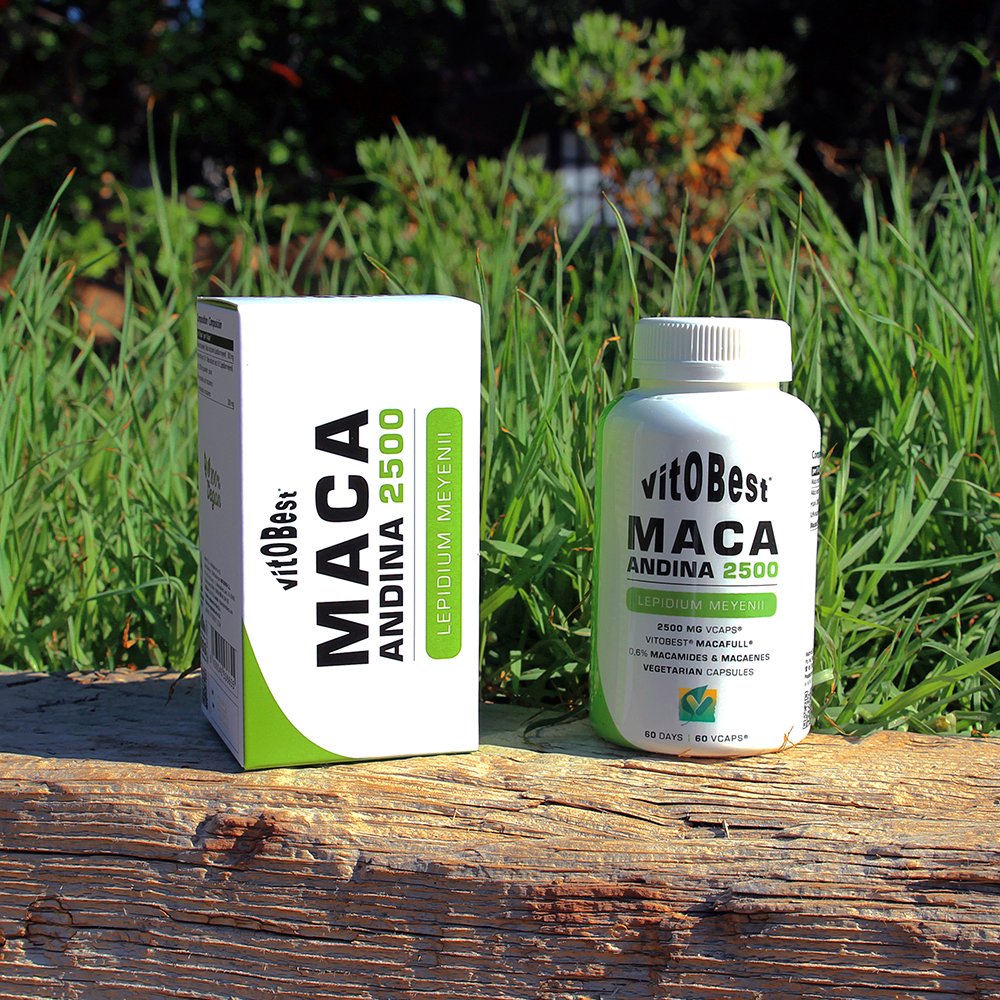 VITOBEST's tweet photo. ¿Sabes qué es la Maca, cuáles son sus beneficios y cuál es mejor a la hora de querer suplementarse con ella?
Descubre todo ello a través de este interesante artículo de nuestro Blog: https://t.co/EAVW2OdrFA
#maca #macaandina #suplementos #salud #blog #vitobest #bethebest https://t.co/wljm70hI5k