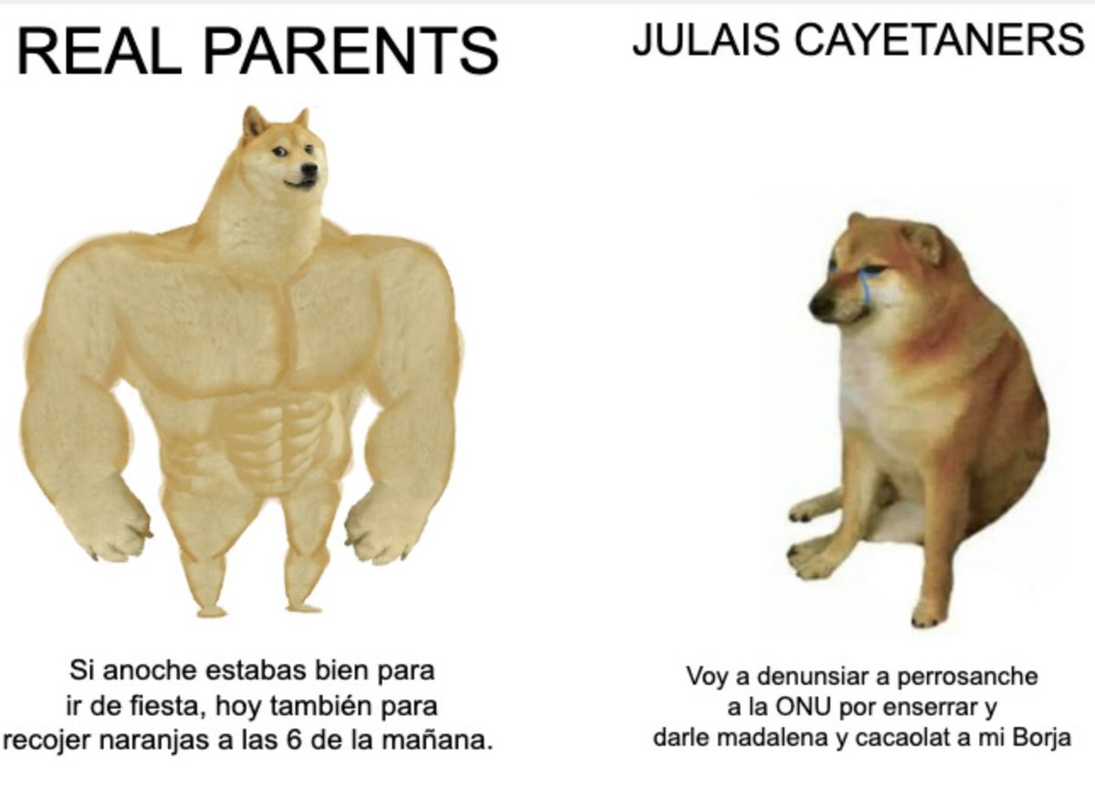 Miquel Ramos 🥘 (@miquel_r) on Twitter photo 