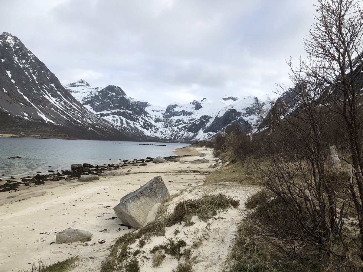 Dr Kris Sales tweet media