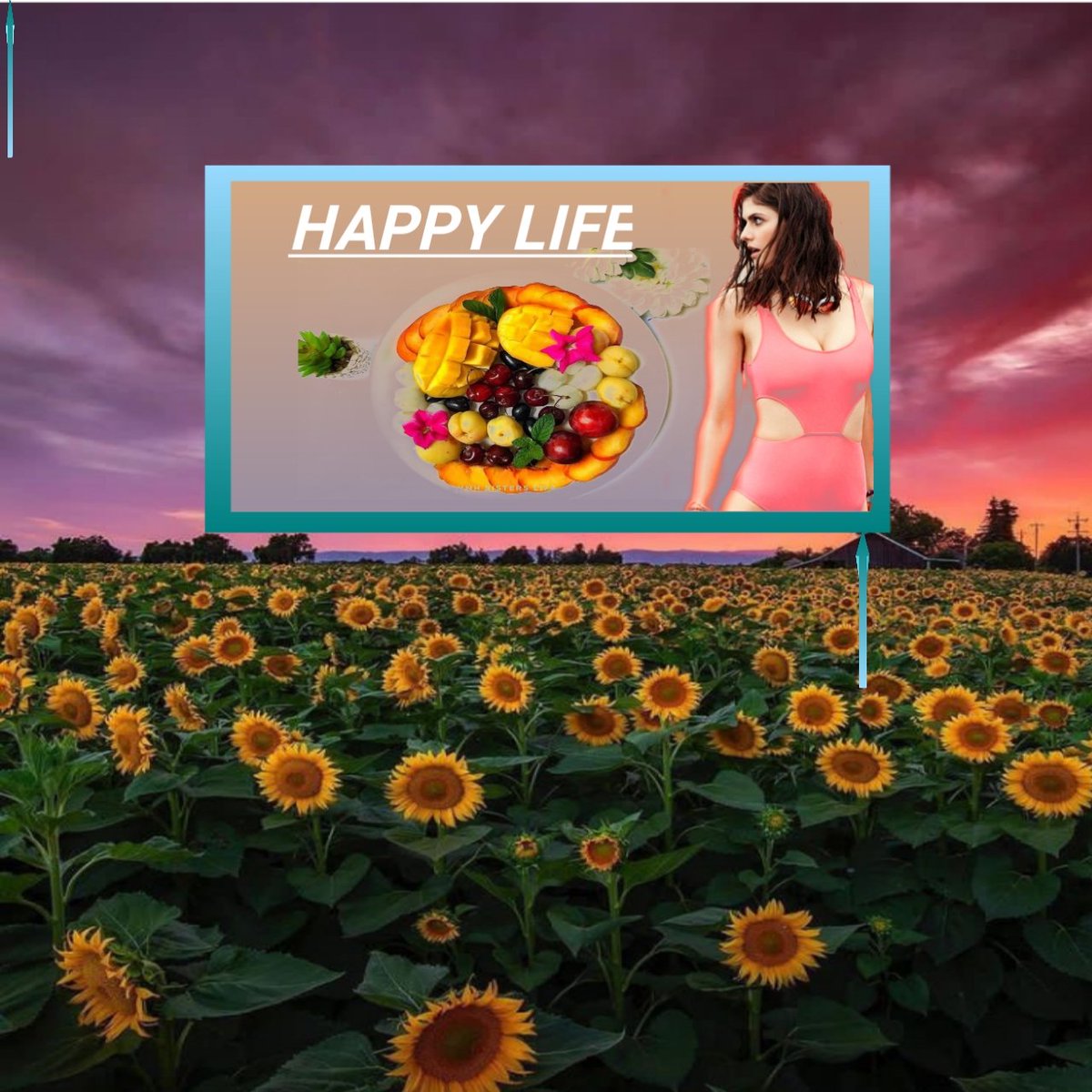 thesecretinter's tweet photo. Happy life with fruts and flowers.

#Flowers #sunflowers #fruts #mixfruts #spring #happylife #viral #trendings #girls #modils #nature #background #wallpaper #photography #adds #promotion #advertisment #foryou https://t.co/rrc8sX8e41