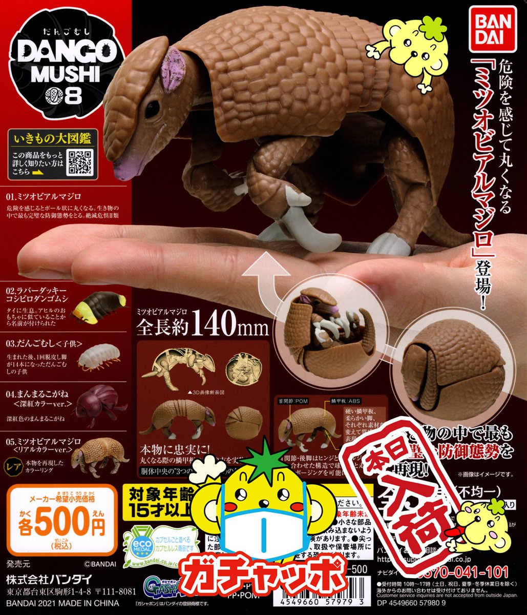 ガチャ ミツオビアルマジロ（DANGO つづら MUSHI 8 ダンゴムシ