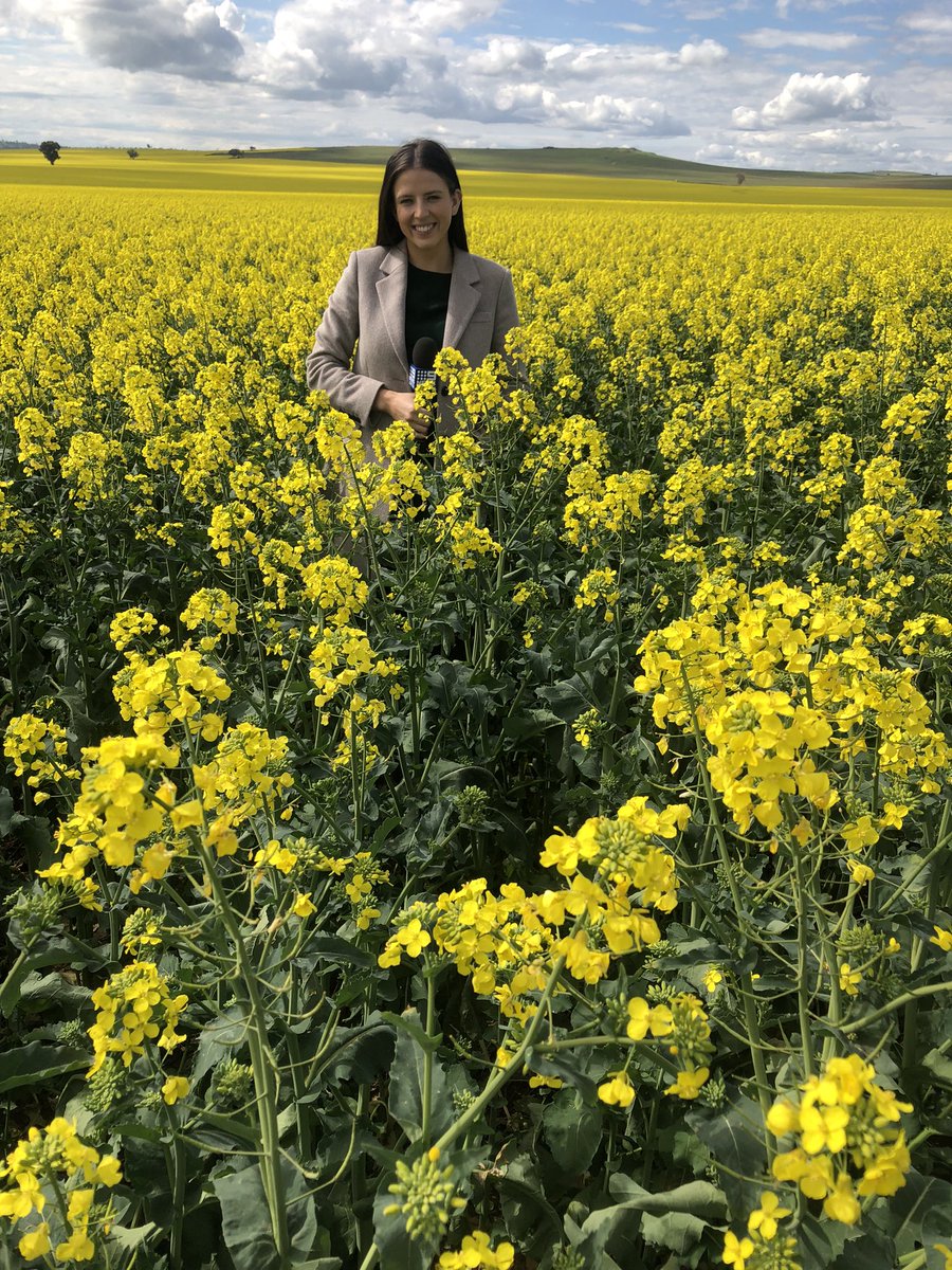 montana_duncan9's tweet photo. Like many journo’s, regional news kick-started my career and I couldn’t be more grateful for the opportunities it has given me since. I love the stories I’ve told and lessons I’ve learned but most of all the friends I have made. #9NewsLocal ❤️ https://t.co/UdmmB4cme6