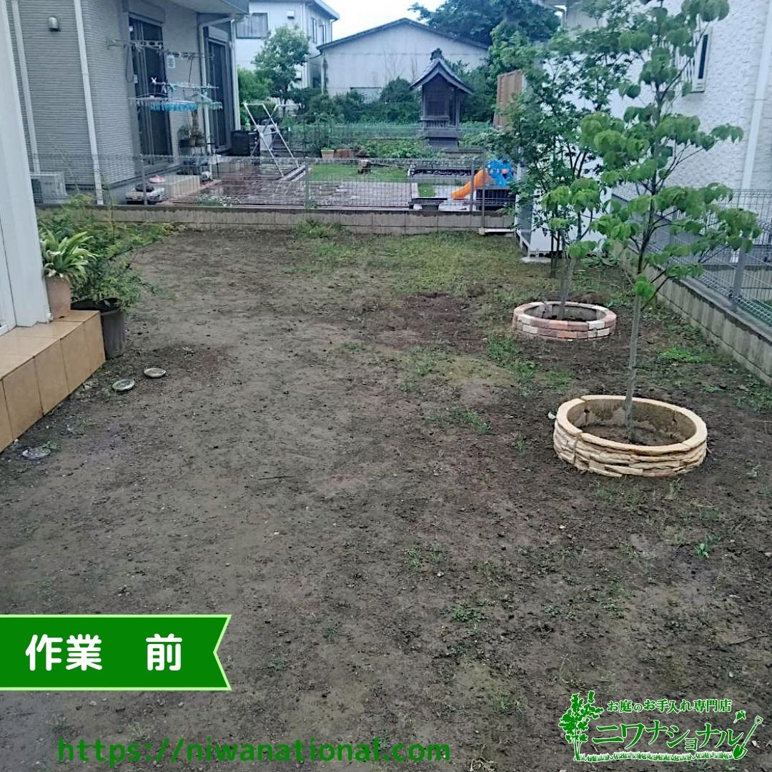 ニワナショナル 埼玉県富士見市に メンテナンスが楽な省管理型の芝生 Tm9 の芝張りでお伺いしました 広いお庭が素敵で 芝生がぴったりです Tm9は大人気 ホームセンターでも入手が難しかったり 詳しくはこちら T Co Hsclqgxj25 T