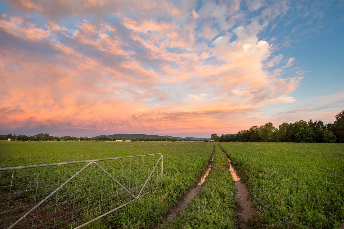 We're sending #love and good vibes to those staying at home + keeping safe in the Greater #Sydney Region, our thoughts are with you. 

Together, we’ve got this. We can't wait to welcome you with fresh country air + wide open spaces on the other side of this ❤️