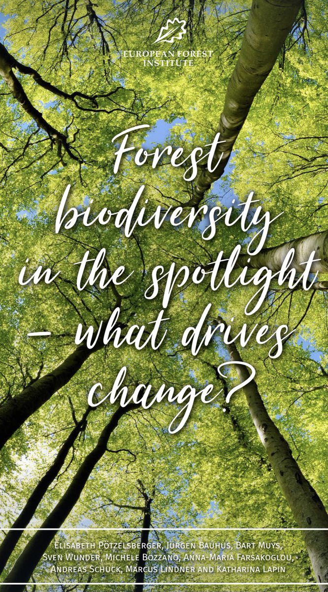 What is the status of forest biodiversity in Europe? What do we know about the drivers affecting it? Which actions science recommends? Our new science-policy brief on such important subject: efi.int/sites/default/…
