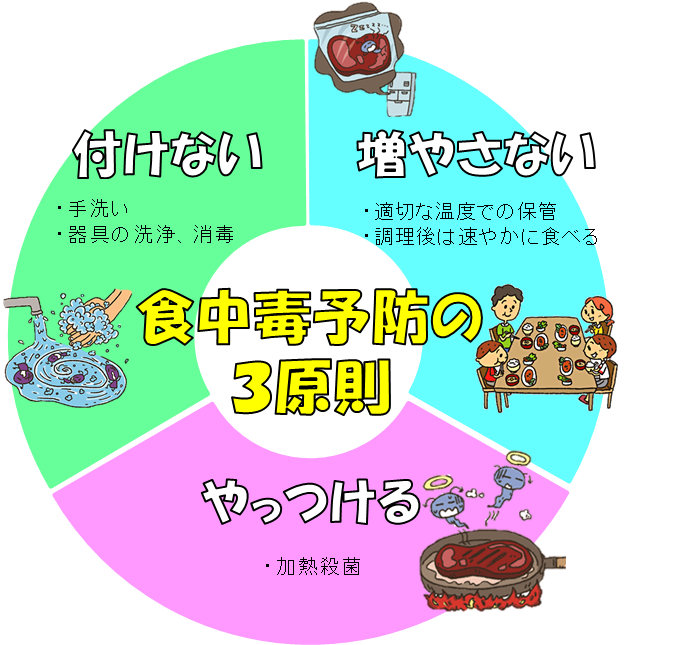 O Xrhsths 厚生労働省 Sto Twitter 食中毒 にご注意 細菌 が原因となる食中毒は 夏 に多く発生しています 食中毒予防 の３原則 食中毒菌を 付けない 増やさない やっつける を心がけましょう 食中毒予防 詳しくはhttps T Co Ei8urvs454 T