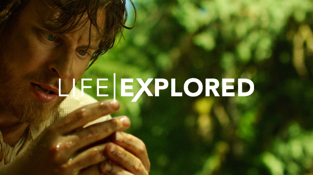 We're all searching for the same thing. We're all hoping to find it. That one thing, that if you had it, would make everything right...

Find out more: life.explo.red