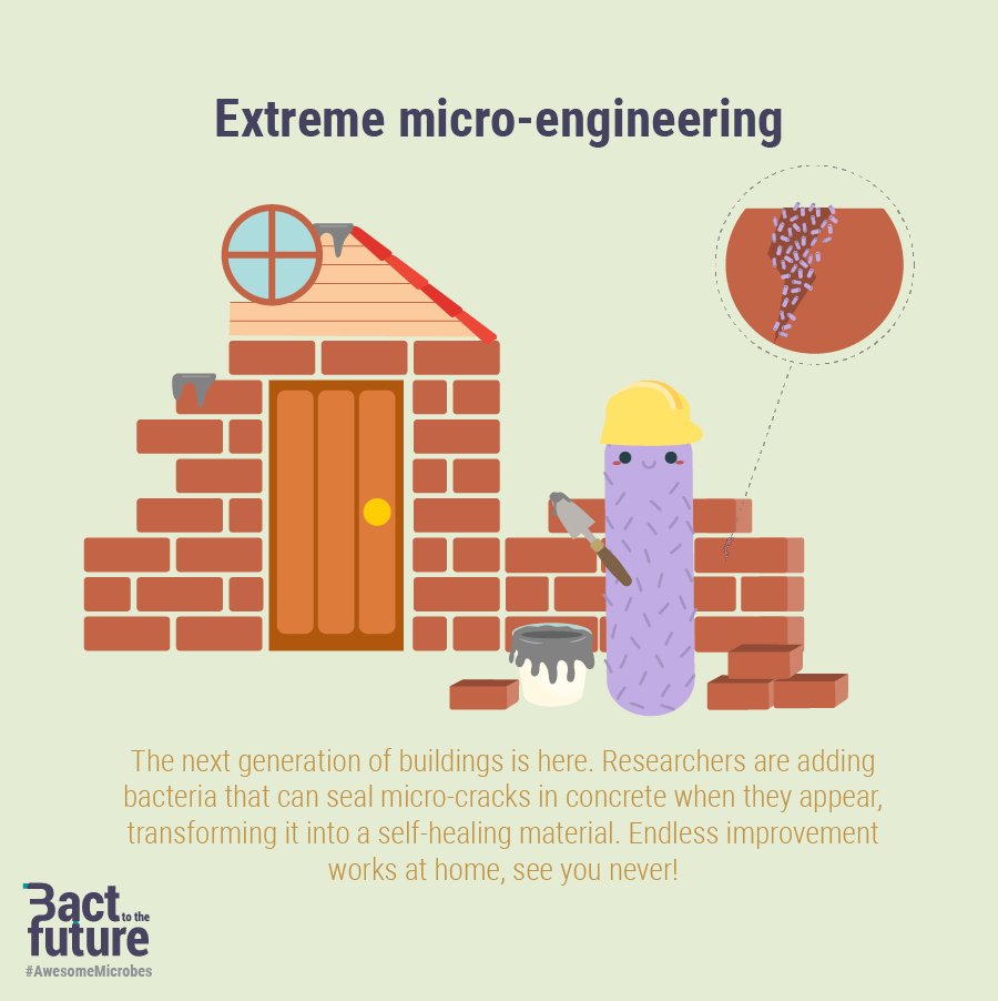 Bact To The Future tweet media