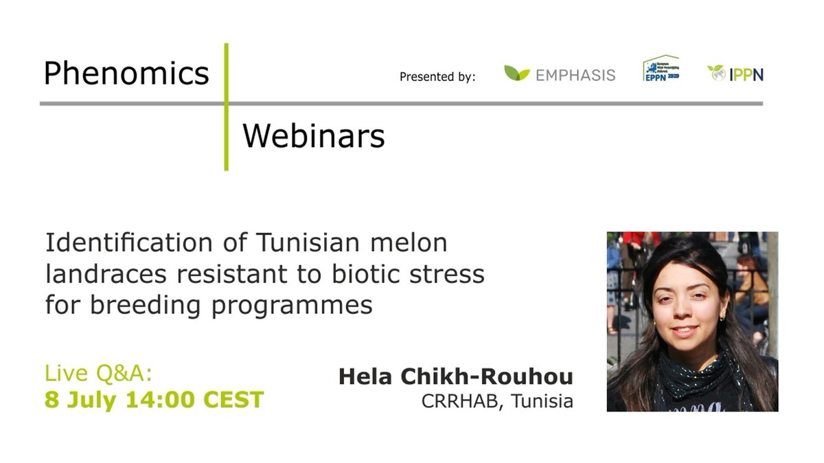Have you watched Hela Chikh-Rouhou's talk on Tunisian melon landraces yet? Any questions?
- Watch her talk here: ow.ly/cori50FhxfO. 
- Send us you questions: ippn@plant-phenotyping.org
- Join us for a live Q&amp;A session on 8 July at 14 CEST
#PhenomicsWebinars <a href="/I_P_P_N/">IPPN</a>