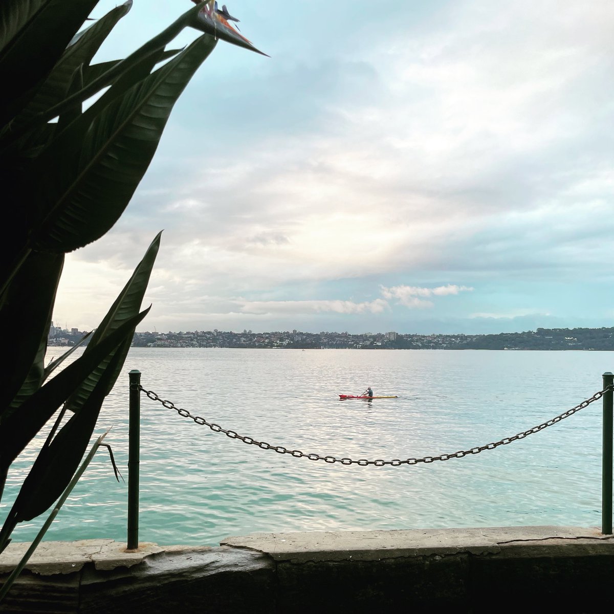 mfullilove's tweet image. #lockdownexercise