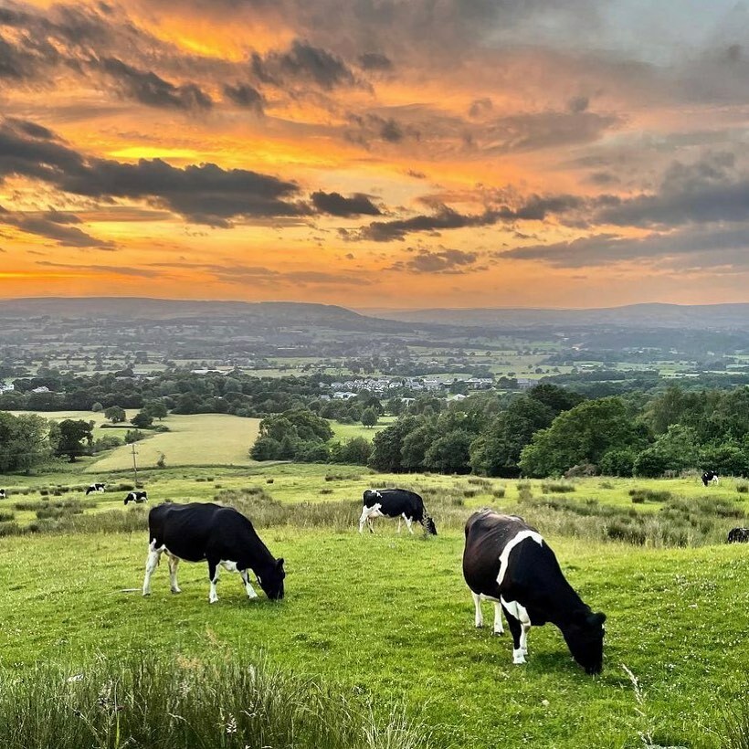 Billington, Clitheroe, Ribble Valley 🌹 

📸 @ribblevalleywalker 

#billington #clitheroe #ribblevalley #lancashire #lancashireonline #lancsonline #igerslancashire #countylancashire #visitlancashire #lovelancashire instagr.am/p/CQvKZ74A6lw/