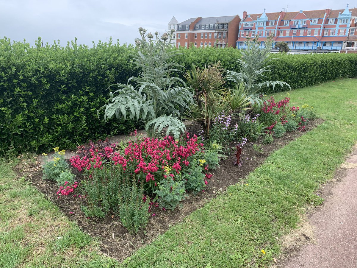 theovalct9's tweet photo. We’ve planted up loads more perennials and next week we’ll be applying compost mulch to the #OvalFlowerbeds 🌹🌺🌷🌿🐝 to prepare our community garden for the #CliftonvilleInBloom Peoples Vote! 👏👏👏 #cliftonville #community #cliftonvillecommunity #margate #thanet #lovemargate https://t.co/N2cNdIezhx